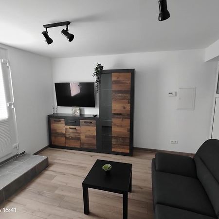 Ferienwohnung Wildgans 2 Dollart Ostfriesland Ditzumerverlaat Kültér fotó